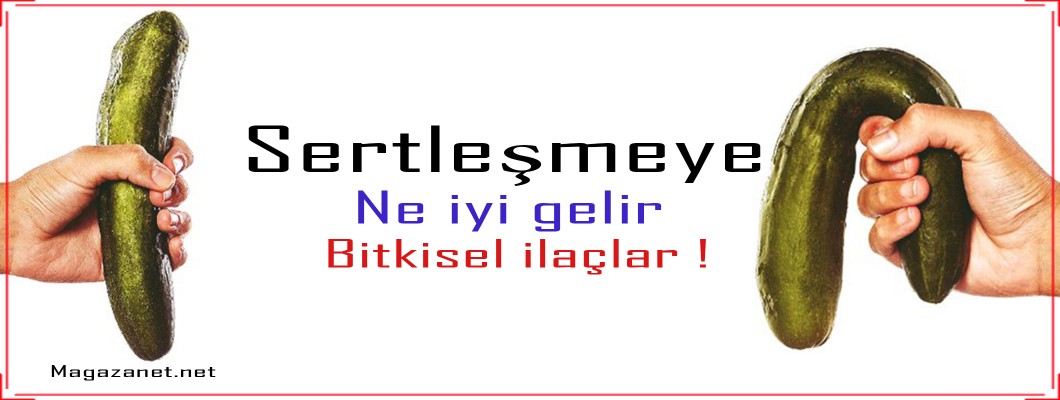 Sertleşme Sorunu